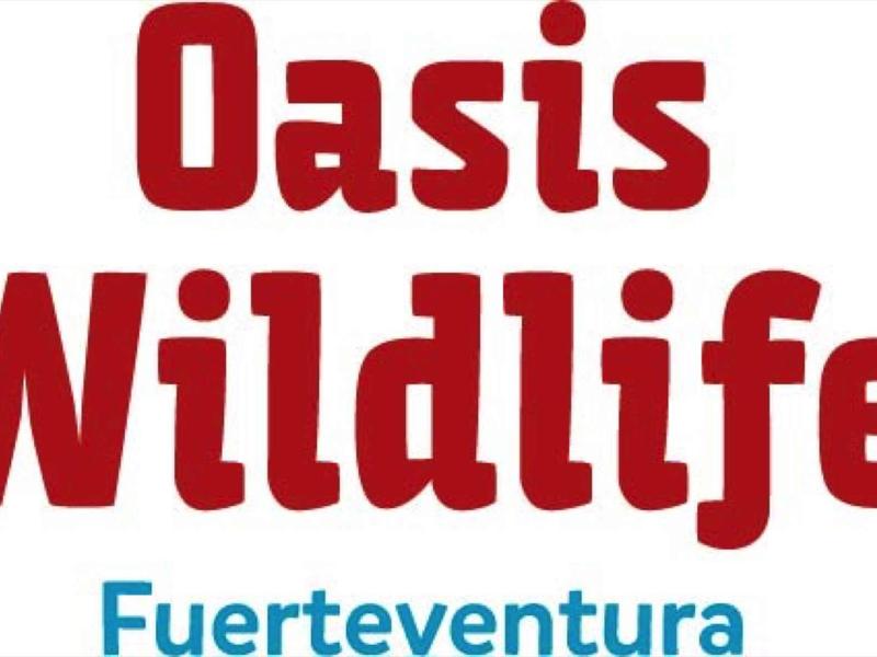 Logo en texte rouge disant 'Oasis Wildlife Fuerteventura' avec 'Oasis Wildlife' en gras et 'Fuerteventura' en bleu.
