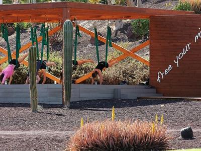 Modern outdoor yoga shala with mirrors and wooden structure