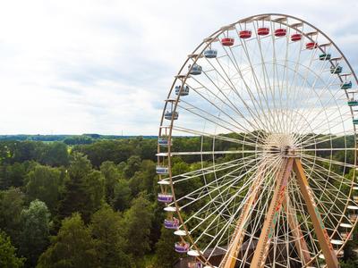 Riesenrad über einem grünen Wald bei bewölktem Himmel.