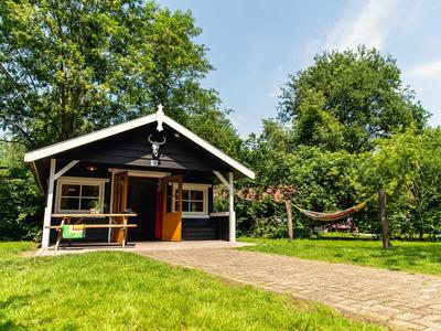 Kleine Holzhütte mit Veranda, Hängematte und Bänken, umgeben von grünem Gras und Bäumen.