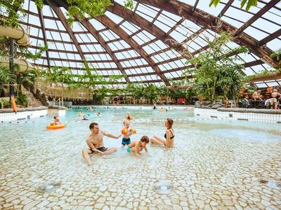 Piscina interior con techo de vidrio, varias personas y vegetación tropical de fondo.