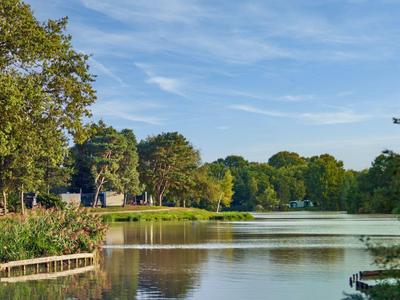 A calm lake with shoreline vegetation and trees under a blue sky in late afternoon.