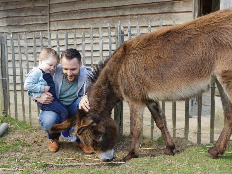 A man kneels with a child beside a donkey eating grass in front of a wooden building.