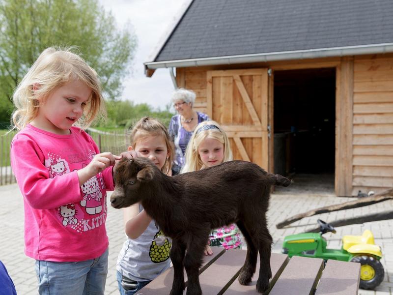 Kinderen aaien een geitenbokje voor een houten schuur op een zonnige dag.