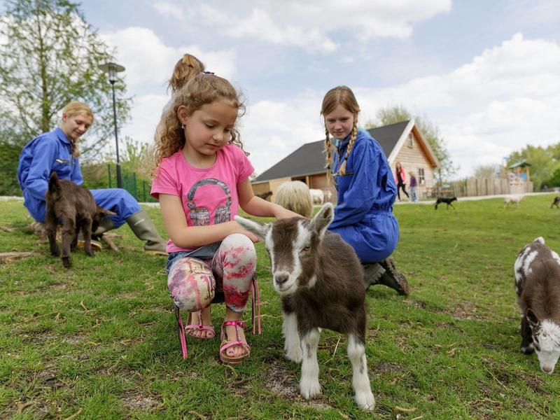 Drie kinderen in een park met geiten, twee in blauwe jasjes, één in een roze shirt