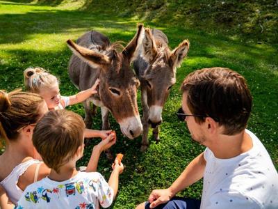 Famille avec enfants nourrissant deux ânes dans un parc vert et ensoleillé.