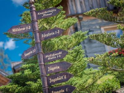 Wegweiser mit grünen Schildern vor Tannenbäumen und blauem Himmel.