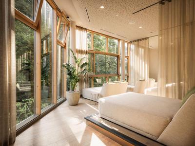 Habitación de hotel luminosa con grandes ventanas, dos camas y planta tropical.