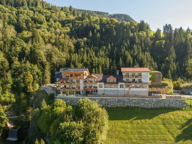 Zwei große Häuser mit roten Dächern auf grüner Wiese vor einem bewaldeten Hügel unter klarem Himmel.