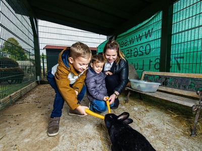 Zwei Kinder und eine Frau füttern Kaninchen in einem umzäunten Gehege mit Bank.