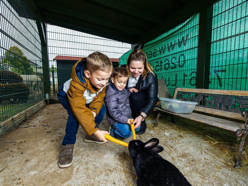 Zwei Kinder und eine Frau füttern Kaninchen in einem umzäunten Gehege mit Bank.