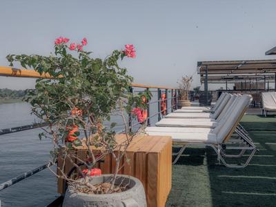 Dachterrasse mit Liegestühlen und dekorativen Pflanzen in Töpfen bei klarem Himmel.