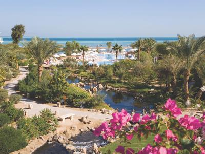 Hotel tuin met palmbomen, bloemen, zwembad en zeezicht op de achtergrond.