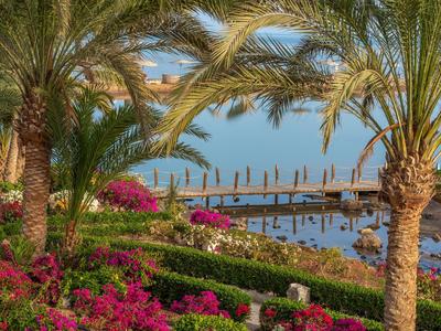 Vista de la playa y el muelle rodeados de palmeras y flores bajo un cielo azul.