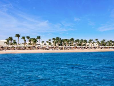 Costa con playa de arena y palmeras bajo un cielo azul, vista al mar azul.