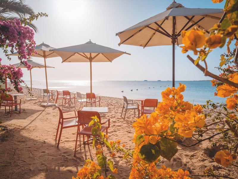 Leeg strandgedeelte met stoelen, tafels en parasols naast kleurrijke bloemen bij zonsondergang.