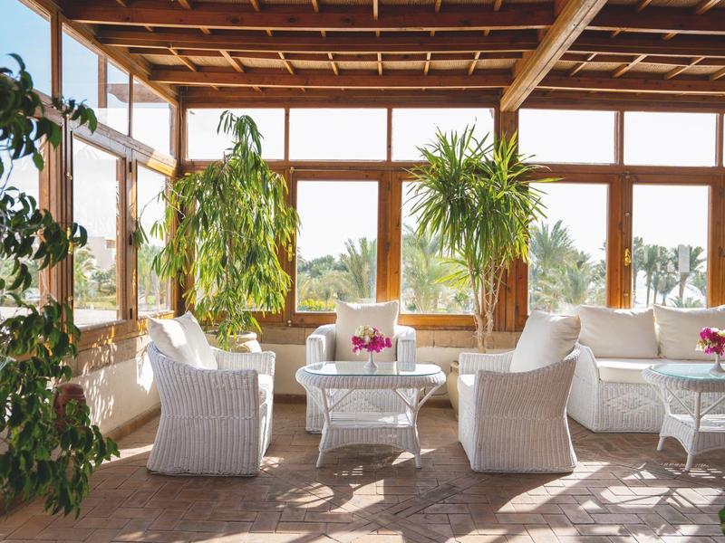 Habitación luminosa y soleada con sillones blancos, mesas y plantas frente a grandes ventanas.