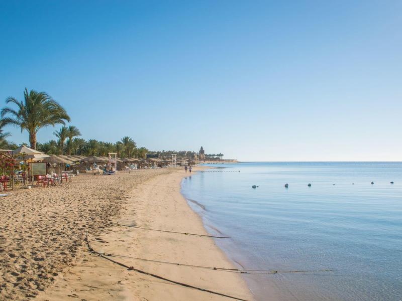 Spiaggia sabbiosa con acqua calma, palme e cielo limpido.