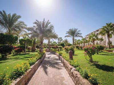 Sunny garden pathway lined with palm trees and vibrant plants under a clear blue sky.