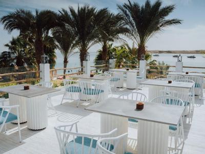 Espace ouvert avec tables et chaises blanches sous des palmiers au bord de l'eau.