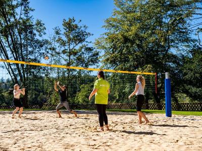 Vier Personen spielen Beachvolleyball auf einem Sandplatz im Freien bei Sonnenschein.
