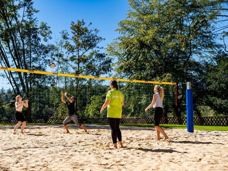 Vier mensen spelen volleybal op een zandveld bij zonnig weer.