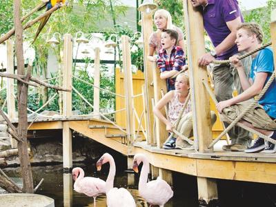 Rodina sleduje plameňáky a papoušky v tropické zvířecí oblasti v rezortu.