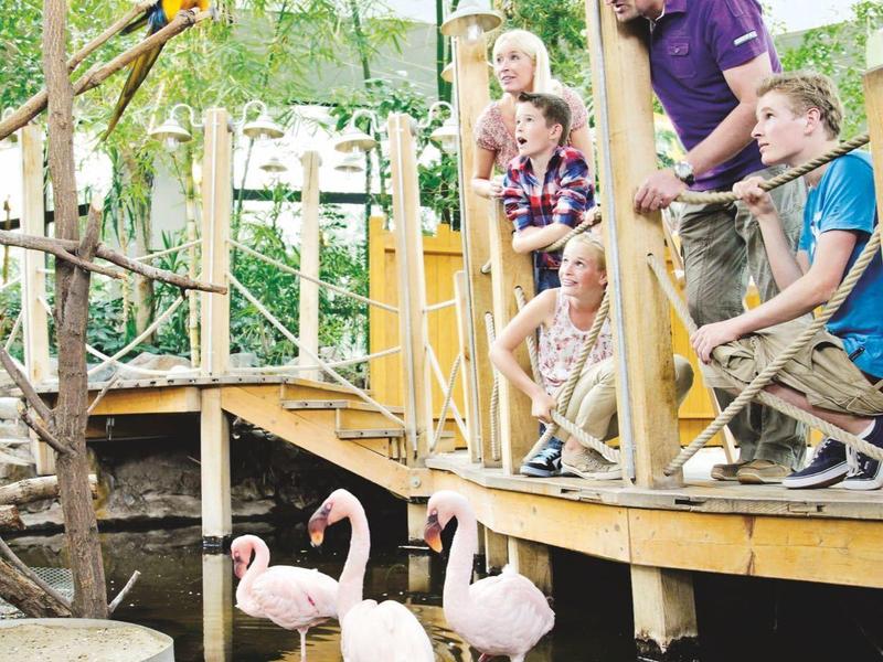 Rodina sleduje plameňáky a papoušky v tropické zvířecí oblasti v rezortu.