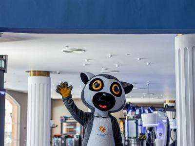 Una mascotte di procione amichevole saluta nella hall dell'hotel con decorazioni blu.