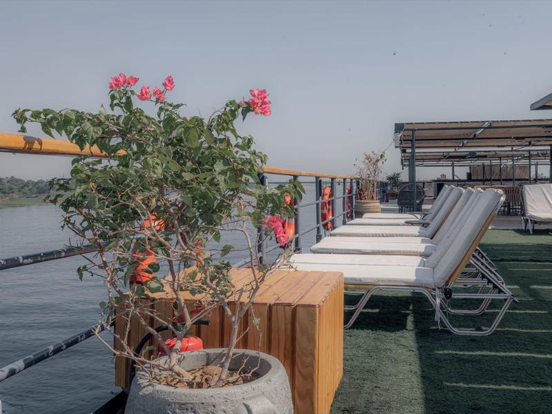 Lettini bianchi allineati su una terrazza con piante in vaso vicino al mare.
