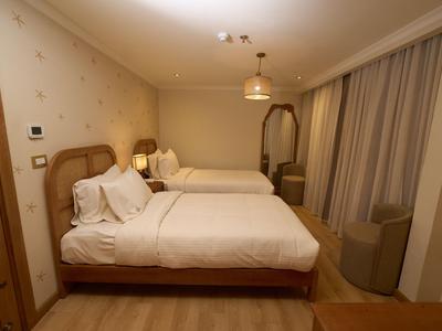 Hotel room with two single beds, nightstands, lamp, and large mirror.