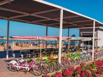 Rangée de vélos colorés sous un abri à la plage par une journée ensoleillée.
