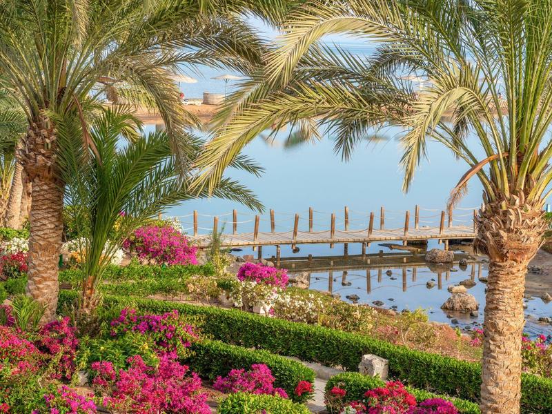 Mediterrane Küstenlandschaft mit Palmen, bunten Blumen und einem Steg am ruhigen Meer.