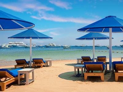 Spiaggia sabbiosa con ombrelloni blu e lettini vicino a un mare calmo.