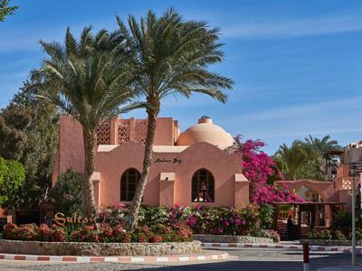 Palmbomen en kleurrijke bloemen voor een roze mediterraan vakantiehuis onder een blauwe lucht