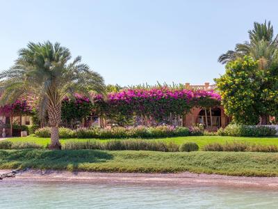 Giardino tropicale con palme e fiori viola vivaci vicino a una casa sulla spiaggia.