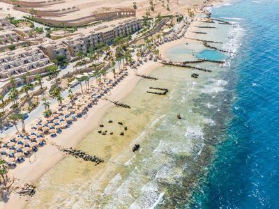Aerial view of a beach with umbrellas, palm trees, and clear blue water.