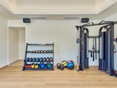 Moderne Fitnessraum mit Hantelregal, Medizinbällen und Krafttrainingsgerät auf Holzboden.