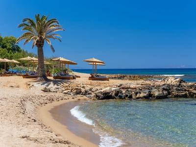 Strand mit Sand, Palmen, Sonnenschirmen und klarem, ruhigem Meer unter blauem Himmel.