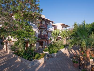 Cactus Village
