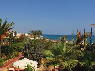 Grüner Garten mit Palmen, bunten Pflanzen und Meer im Hintergrund unter blauem Himmel.