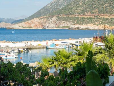 Blick auf einen Hafen mit Booten, Palmen und Bergen im Hintergrund bei sonnigem Wetter