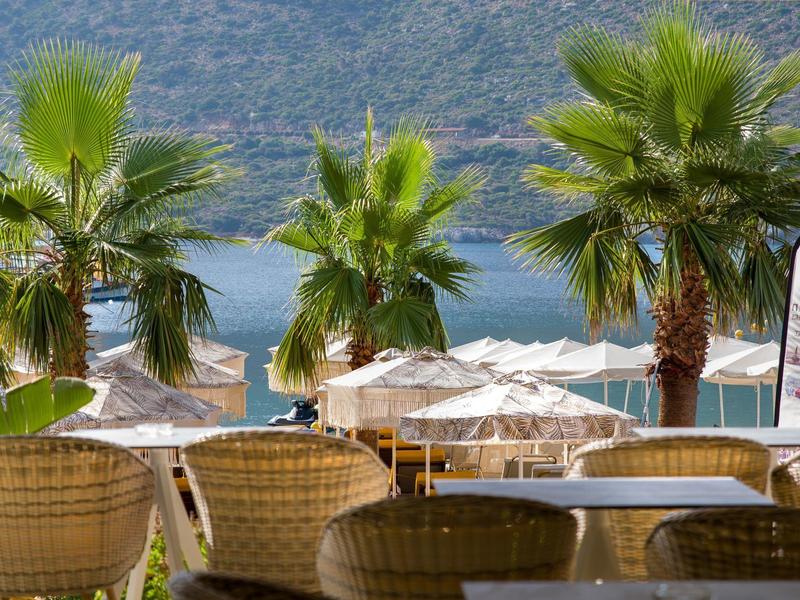Blick von einer Terrasse mit Stühlen auf Palmen und Sonnenschirme vor einem See und Bergen