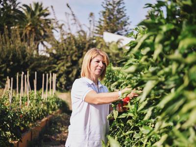 Kobieta zbierająca świeże warzywa w ogrodzie z zielonymi roślinami i krzewami.