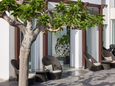 Sillas cómodas y terraza soleada junto a un árbol frente a un edificio de hotel moderno.