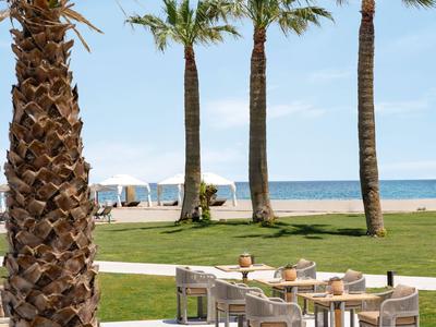 Le palme si ergono su un prato verde con vista sulla spiaggia e sul mare.