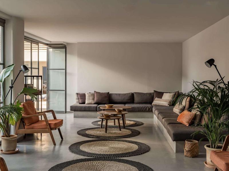 Světý obývací pokoj s velkými okny, šedou pohovkou, rostlinami a kulatými koberci.