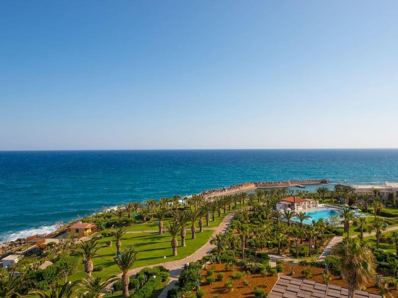 Vue sur un jardin avec piscine et océan en arrière-plan par une journée ensoleillée.