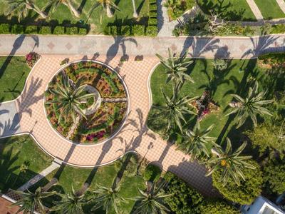 Vista aerea di un giardino tropicale con palme e sentieri circolari