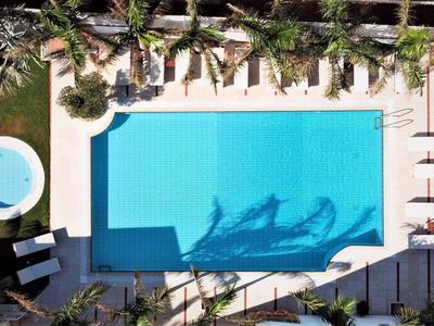Vista aerea di una piscina rettangolare con palme e lettini all'aperto.